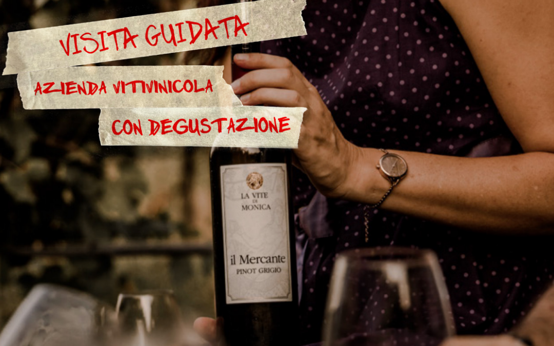 Visita guidata azienda vitivinicola con degustazione